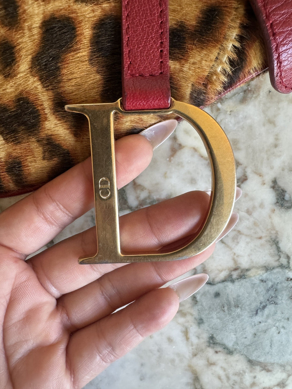 Dior Leopard Print Saddle Bag