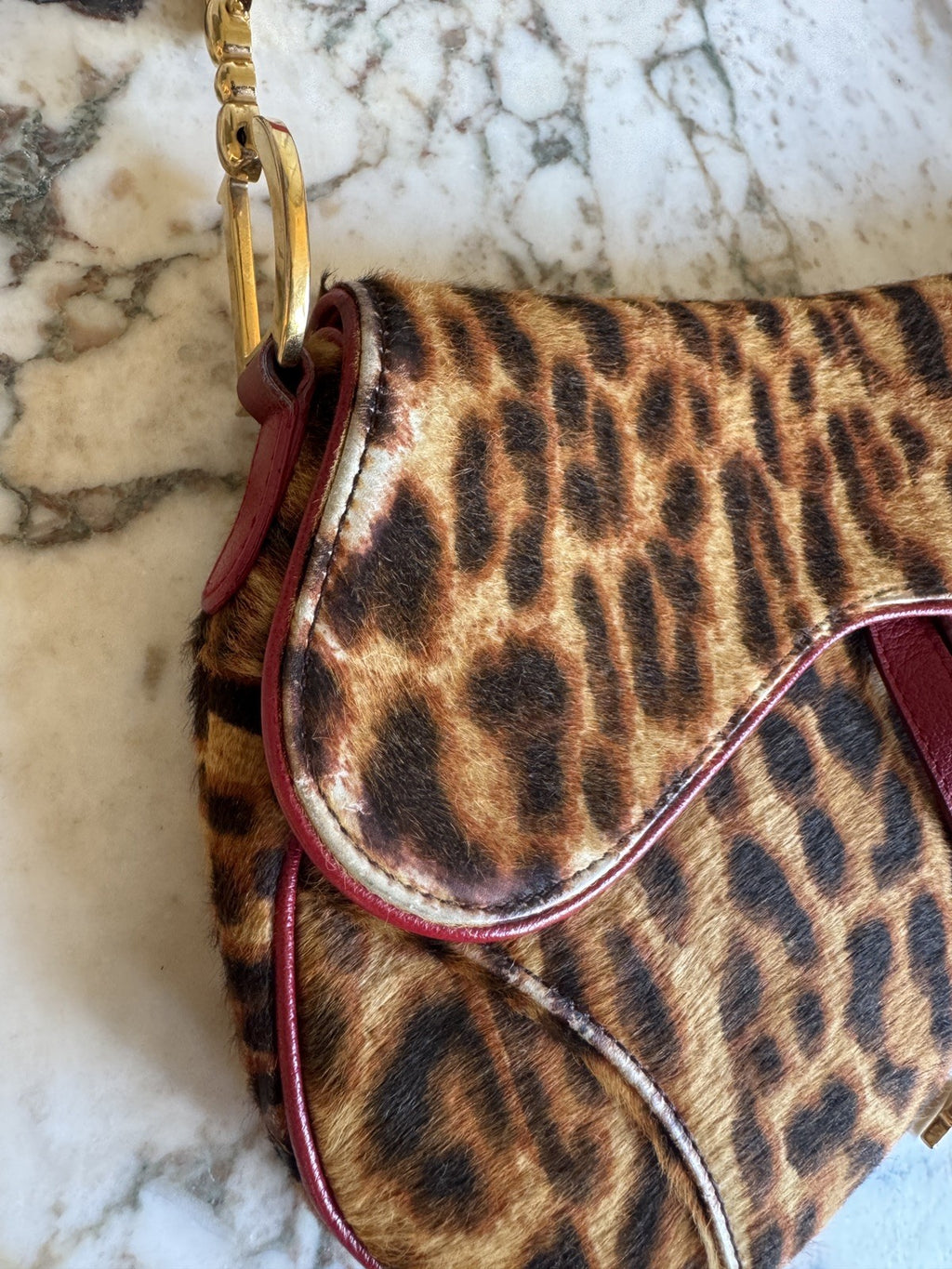 Dior Leopard Print Saddle Bag