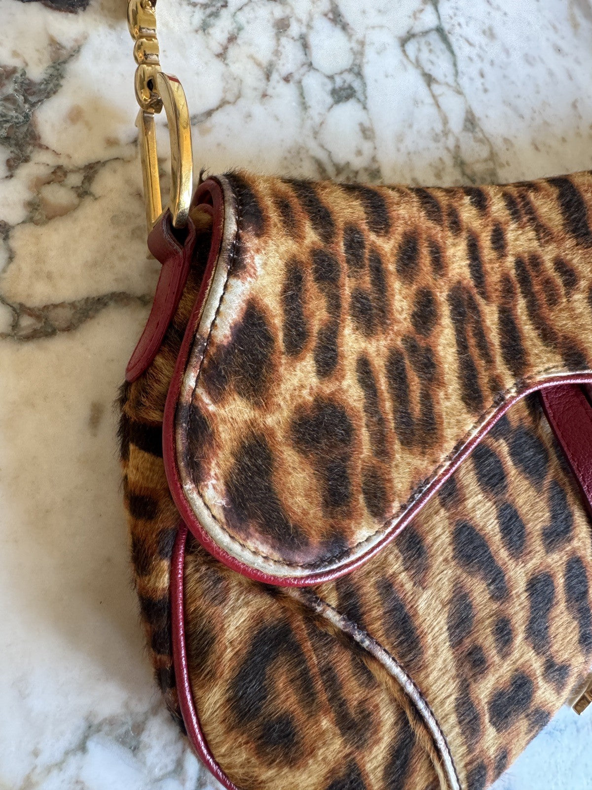 Dior Leopard Print Saddle Bag